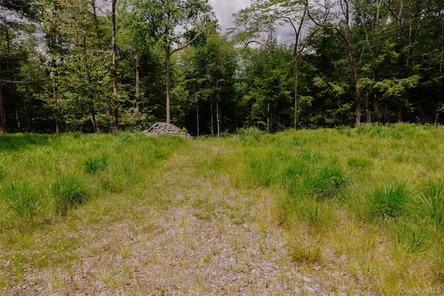 TBD Church Lake Road, Livingston Manor, NY 12758 - #3
