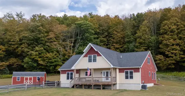 336 County Road #93, Roscoe, NY 12776