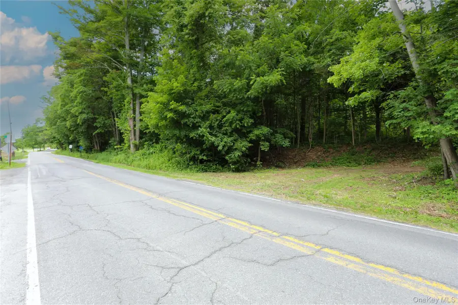 TBD Old Kings Road, Catskill, NY 12414 - #3