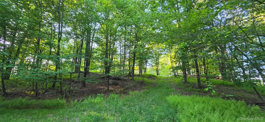 Lot 1.35 W Shore Road, Bethel, NY 12720 - #2
