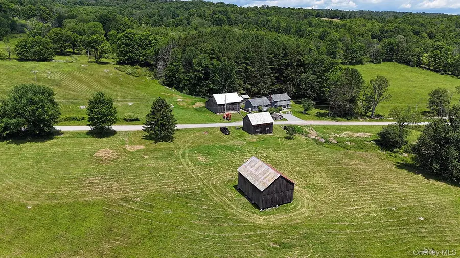 180 Henderson Road, Hankins, NY 12741 - #3