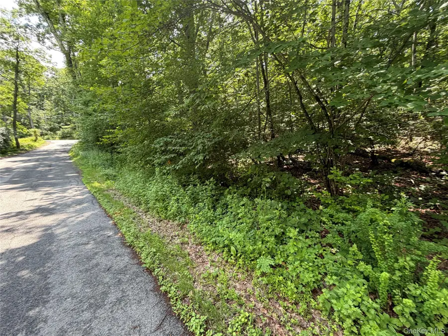 599 E Mountain Road N, Cold Spring, NY 10516 - #2