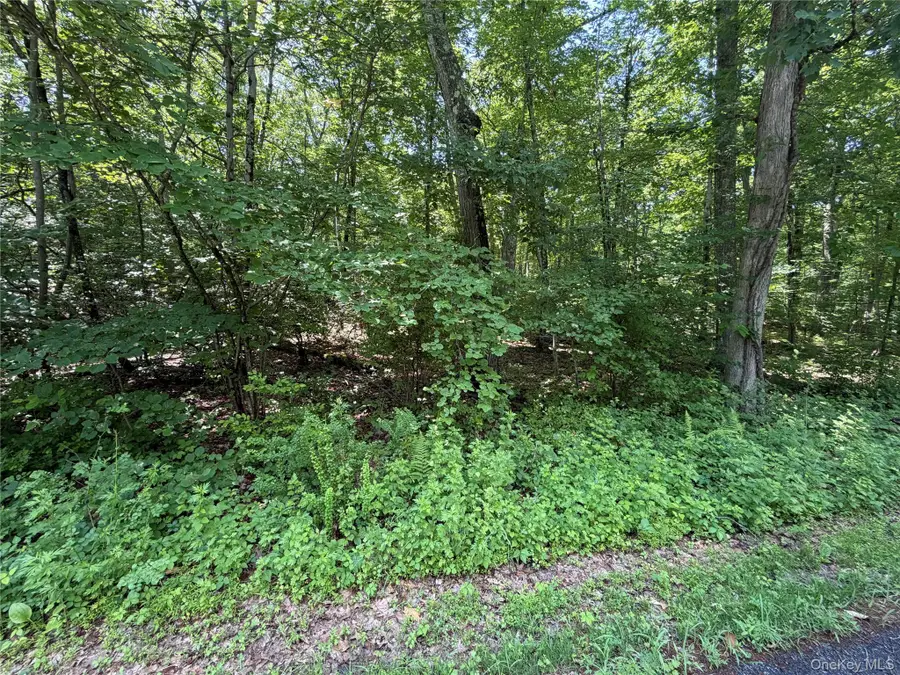 599 E Mountain Road N, Cold Spring, NY 10516 - #3