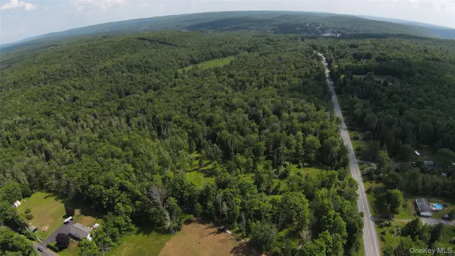 Co Hway 158, Fallsburg, NY 12733 - #2