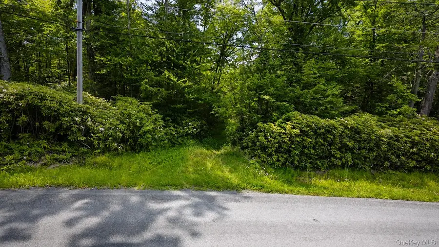 Taylor Road, Mountain Dale, NY 12763 - #3