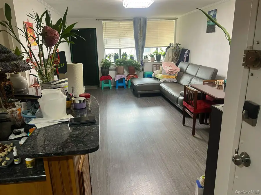 2524 120th Street #2, Flushing, NY 11354 - #2