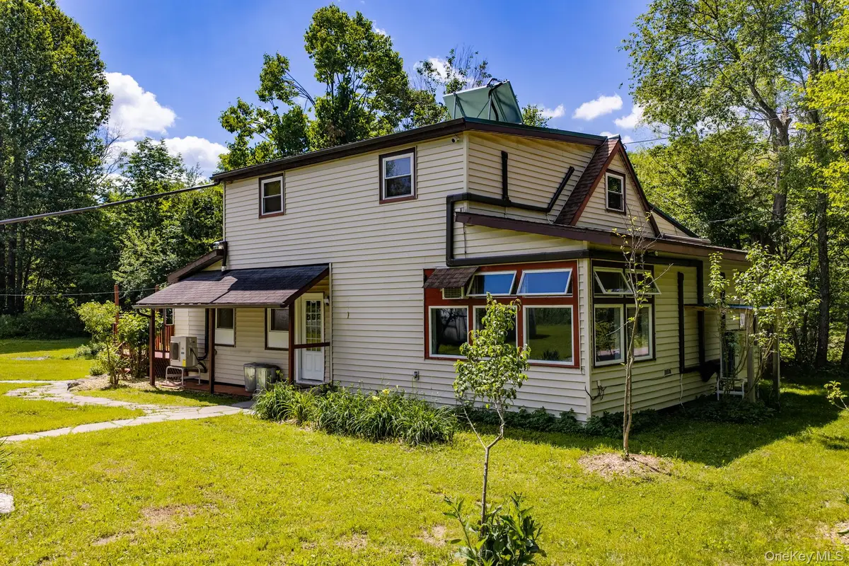 64 & 68 Mineral Springs Road, Livingston Manor, NY 12758 - #1