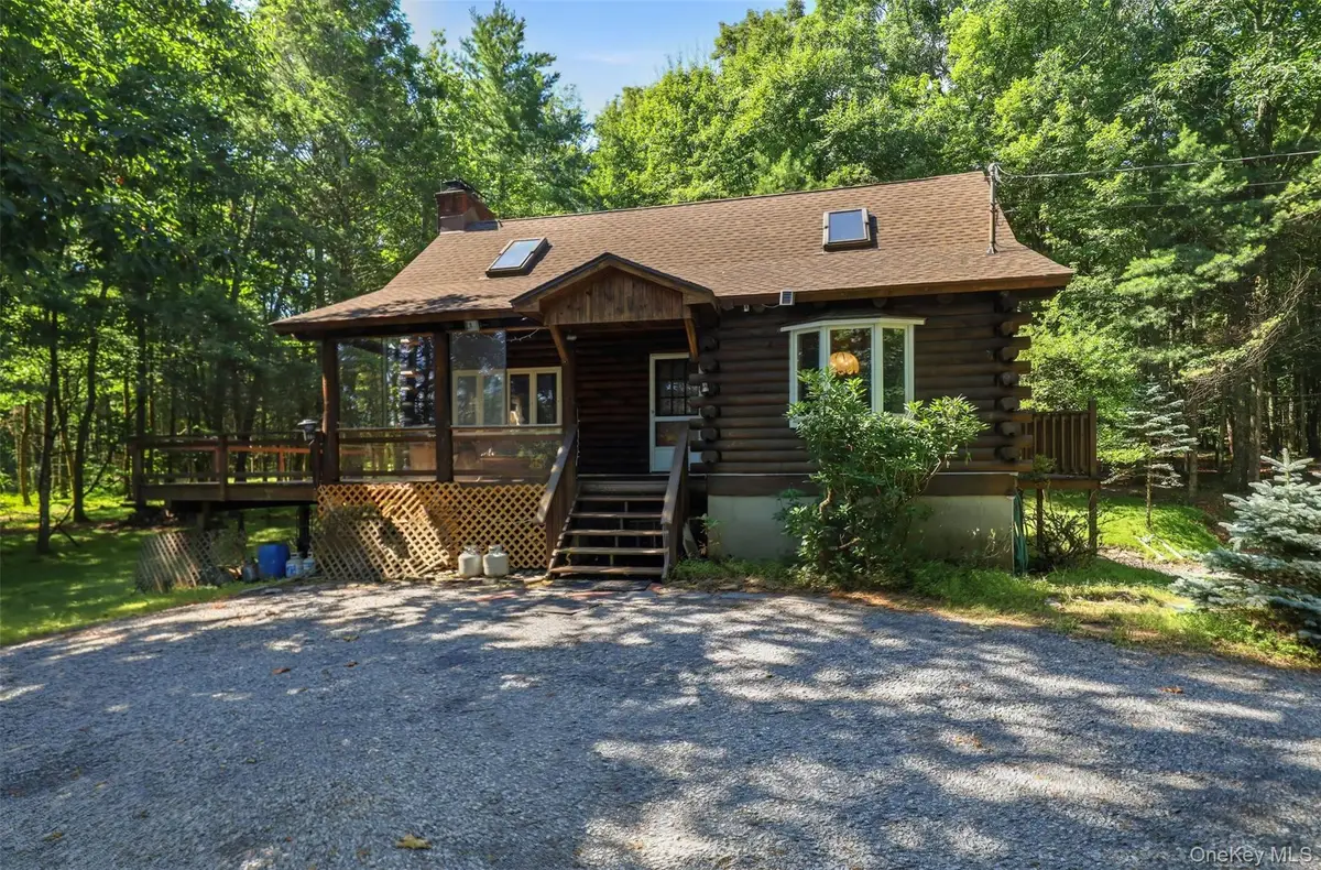 91 Airport Road, Eldred, NY 12732 - #1