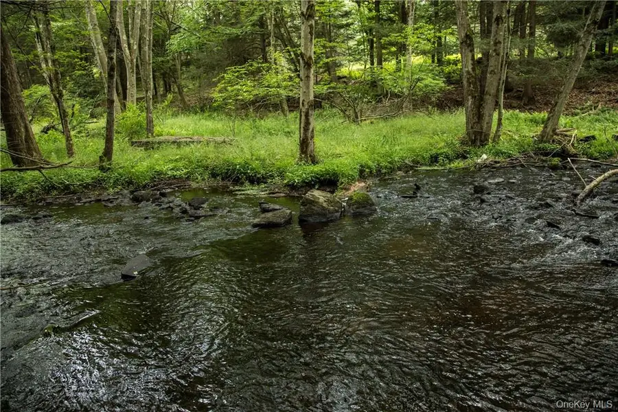 Lot 2 Chapin Trail, White Lake, NY 12786 - #3