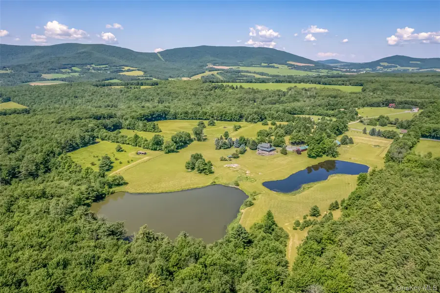 688 Bruce Porn Road, Stamford, NY 12167 - #2