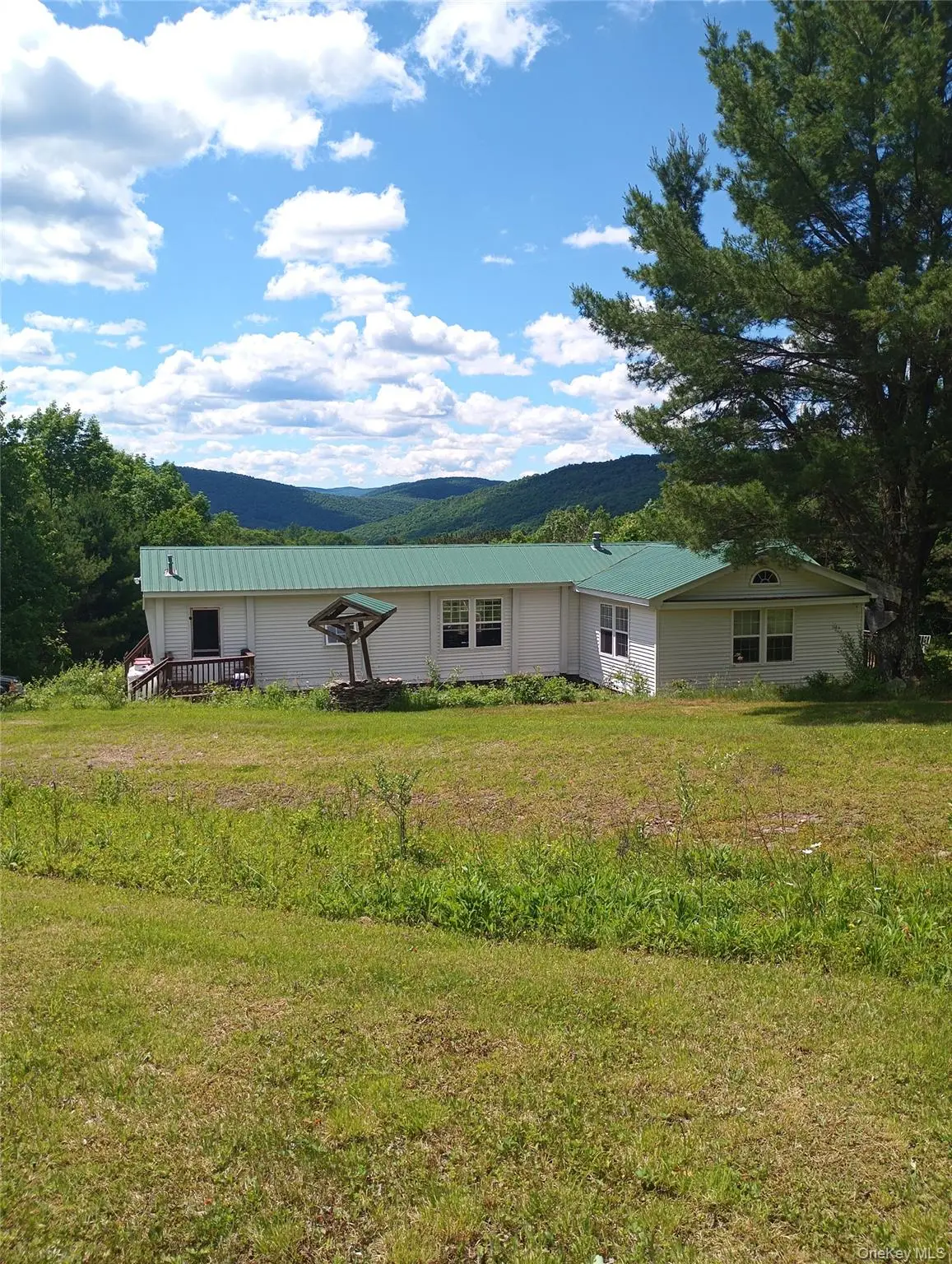 4323 Gregory Hollow Road, Hamden, NY 13782 - #1