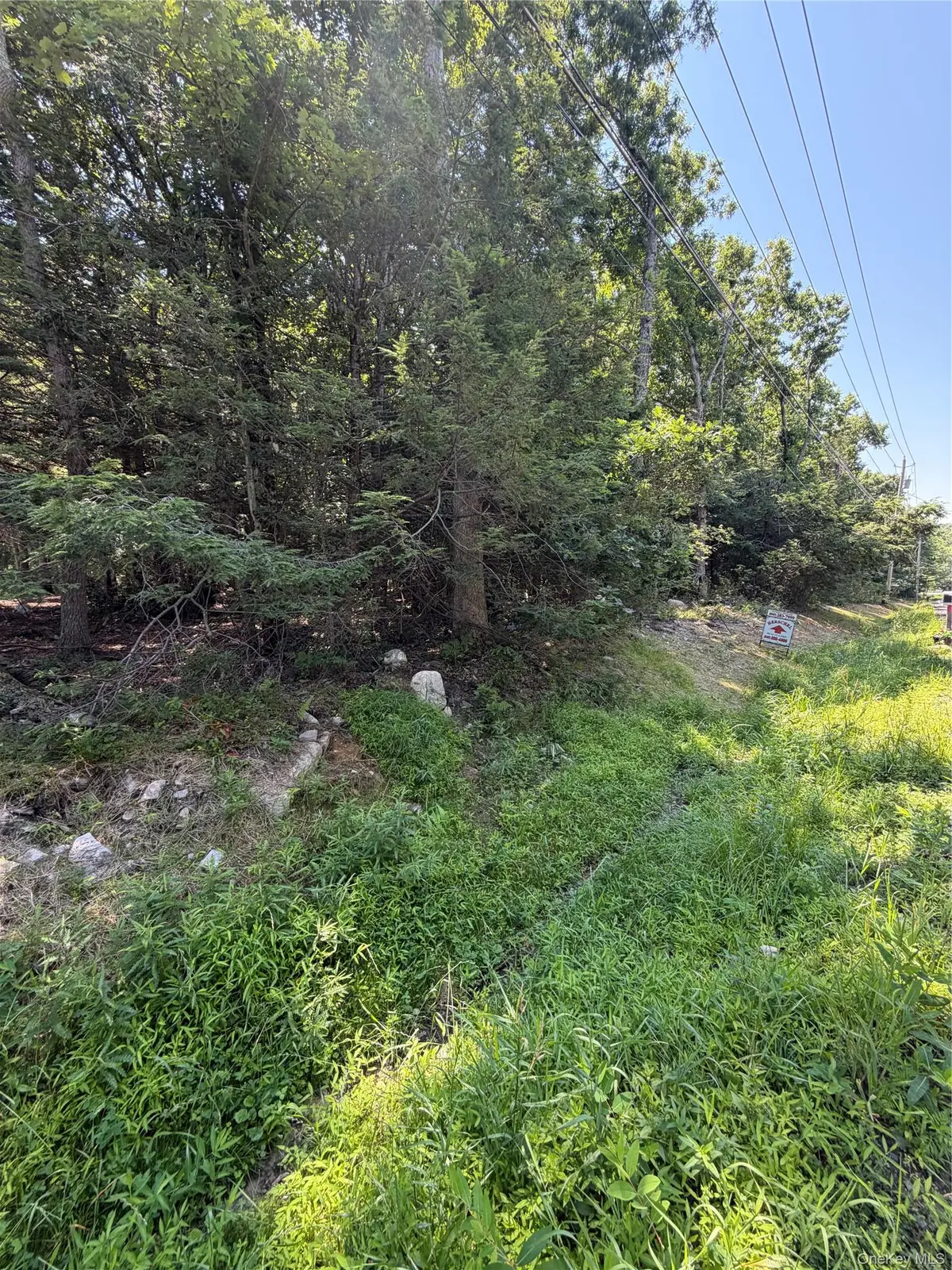 County Route 56, Wurtsboro, NY 12790 - #1