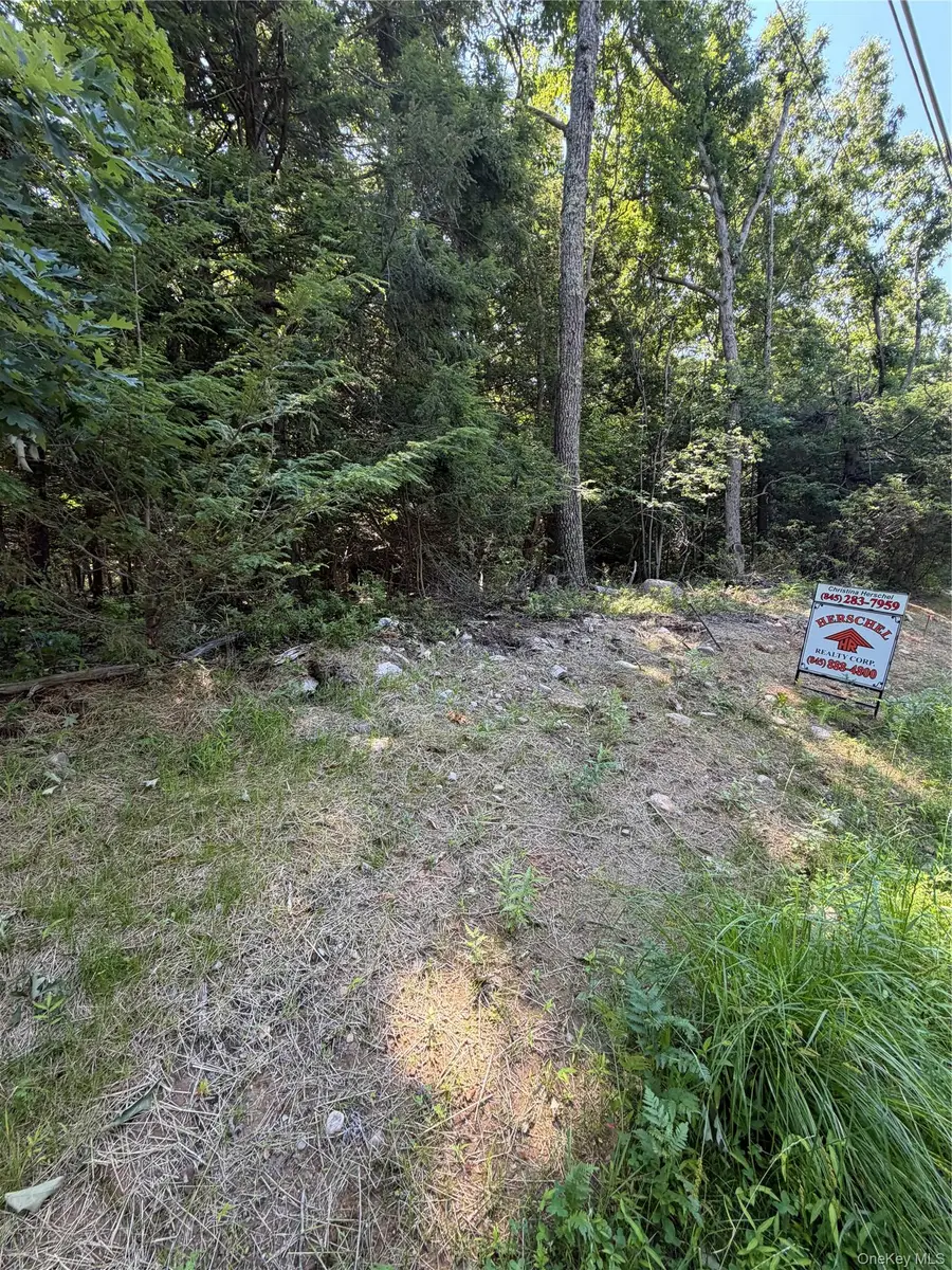 County Route 56, Wurtsboro, NY 12790 - #2