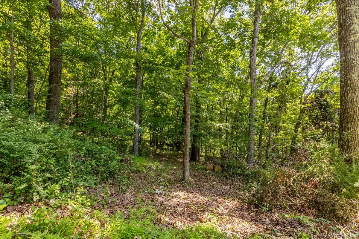 Woodin Lane, Pawling, NY 12564 - #1