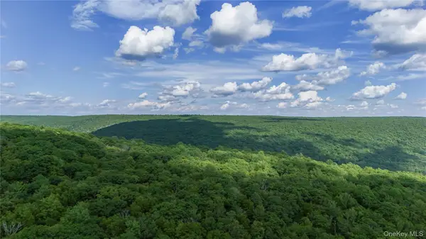 X Wilderness Trail, Forestburgh, NY 12777