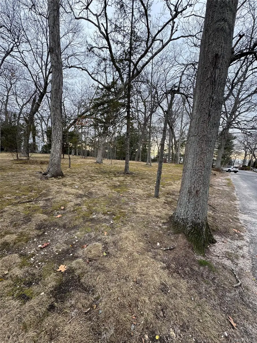Dogwood Drive, Stony Brook, NY 11790 - #2