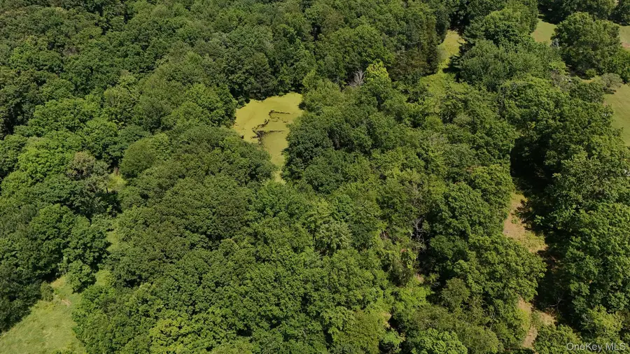 110 Purgatory Road, Campbell Hall, NY 10916 - #2
