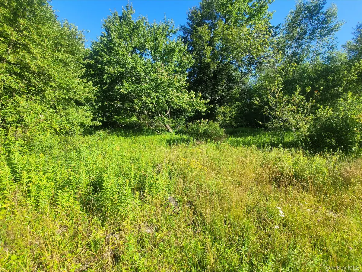 55 State Street, Liberty, NY 12754 - #1