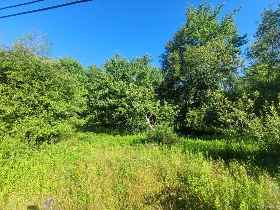 55 State Street, Liberty, NY 12754 - #3