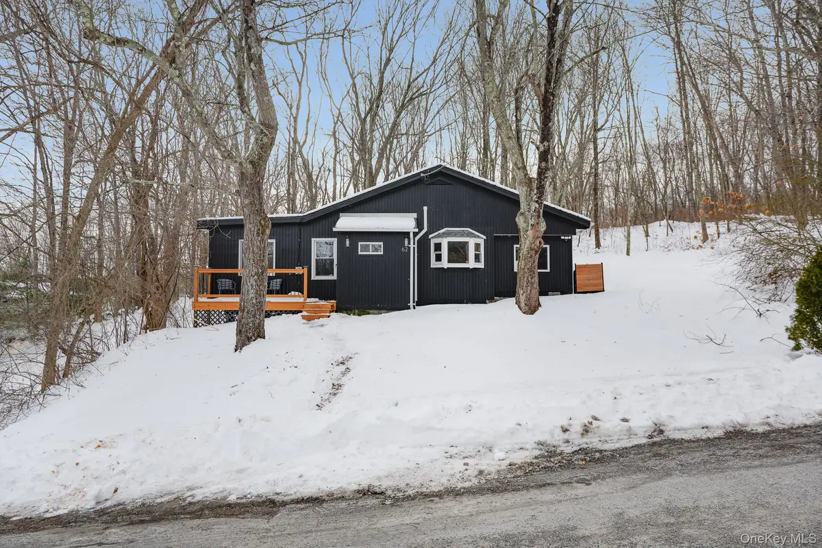 62 Netherwood Plaza, Salt Point, NY 12578 - #1