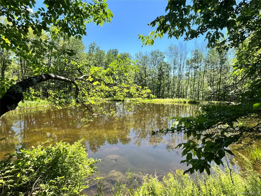 Upper Pond Dahlia Road W, Livingston Manor, NY 12758 - #2