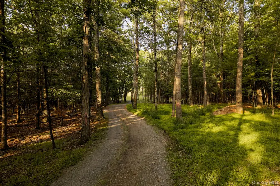 475 Ohayo Mountain Road, Woodstock, NY 12498 - #3