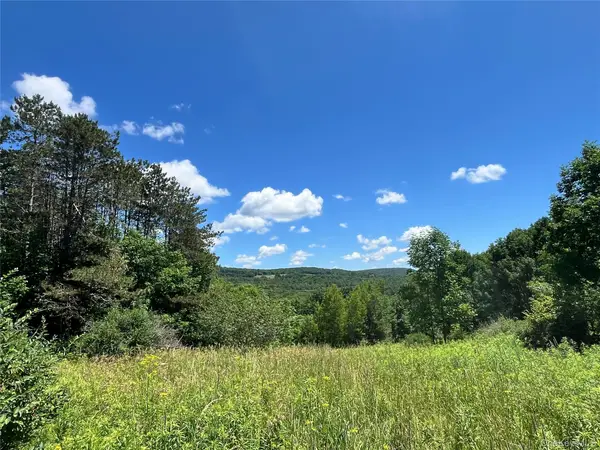 Lower Pond Dahlia Road W, Livingston Manor, NY 12758