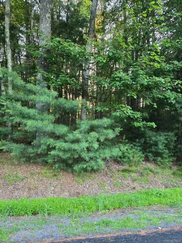 Horseshoe Lake Road, Bethel, NY 12764