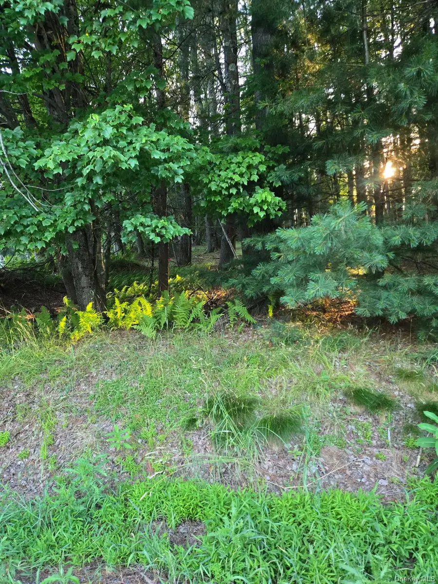 Horseshoe Lake Road, Kauneonga Lake, NY 12764 - #2