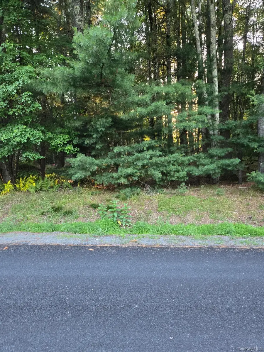 Horseshoe Lake Road, Kauneonga Lake, NY 12764 - #3