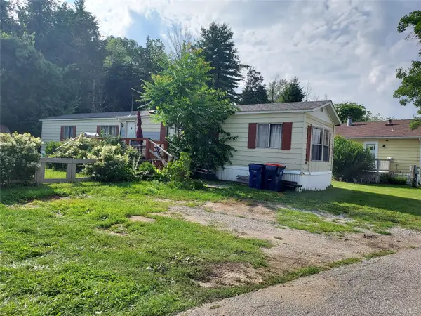 198 Sinpatch Road #Lot 42, Wassaic, NY 12592