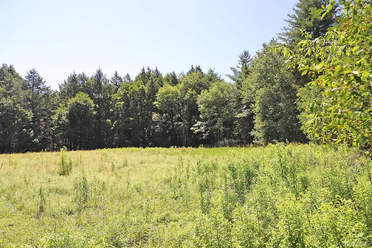 Lot 4A Hurd Road, Bethel, NY 12720 - #1