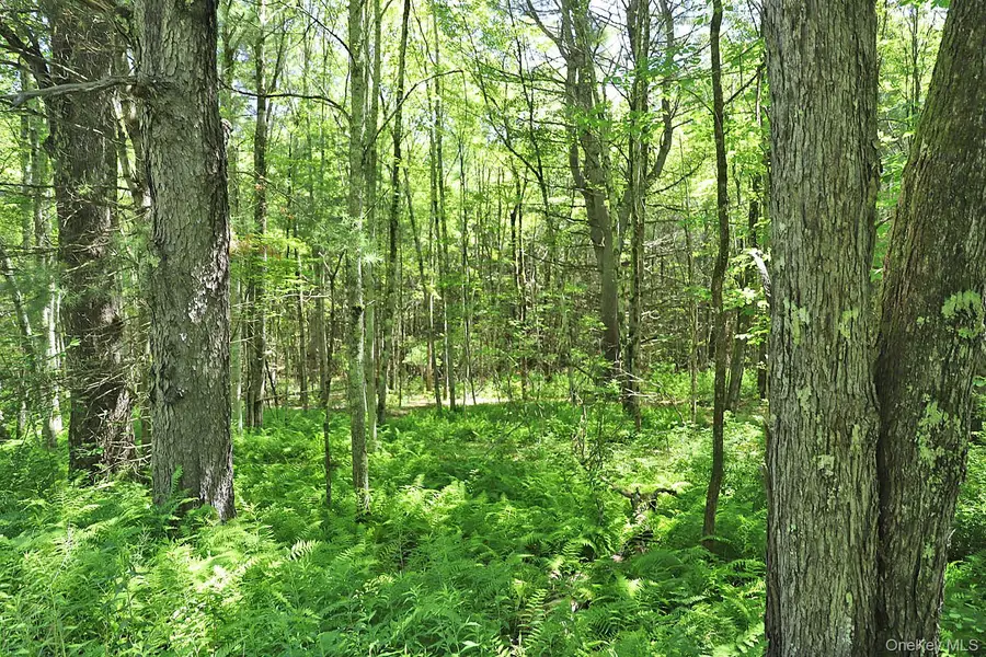 Lot 4A Hurd Road, Bethel, NY 12720 - #3