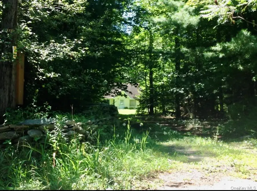 143 Mountaindale Road, Greenfield Park, NY 12435 - #2
