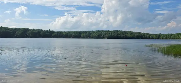 Lot 34.25 Lakeview Drive Road, Highland Lake, NY 12743