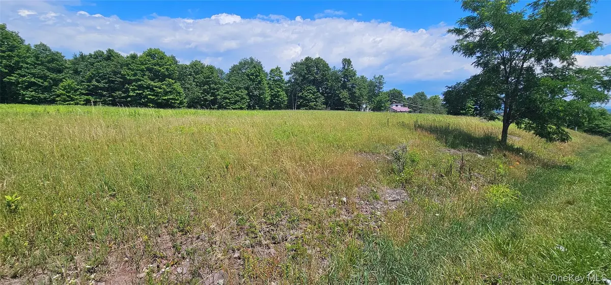W/s Divine Corners Road, Loch Sheldrake, NY 12759 - #1