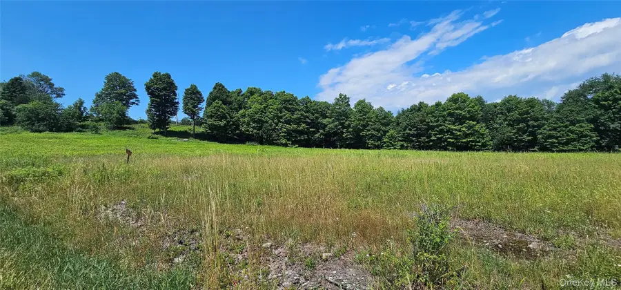 W/s Divine Corners Road, Loch Sheldrake, NY 12759 - #2