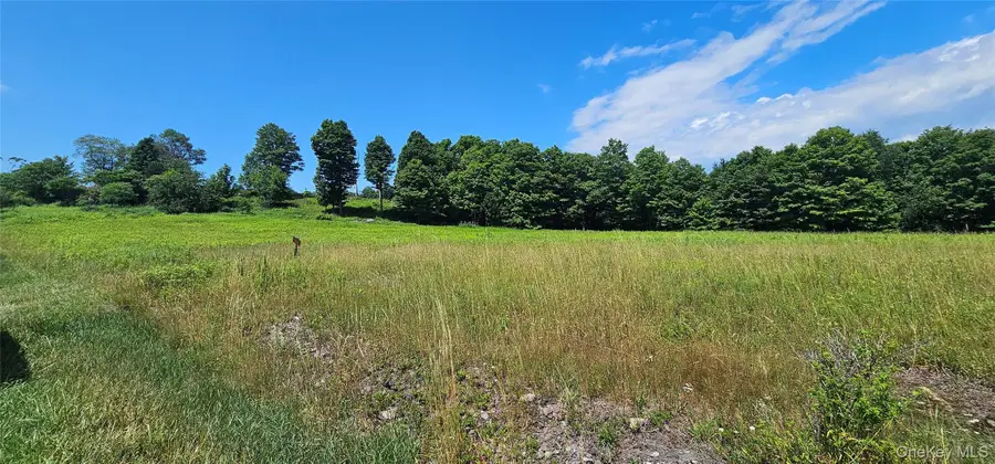 W/s Divine Corners Road, Loch Sheldrake, NY 12759 - #3