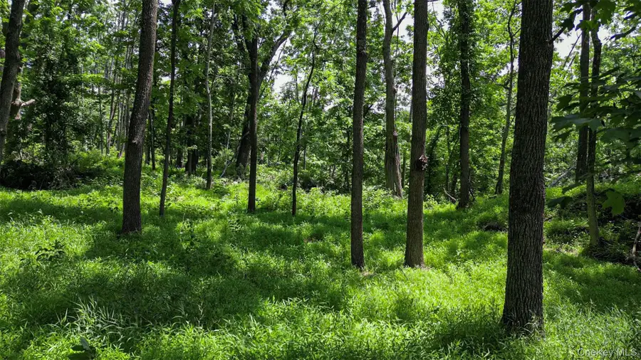 Deer Pond Lot 2 Drive, Warwick, NY 10990 - #3