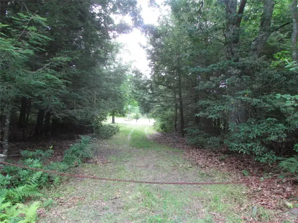 Fox Hill Road Tr 55, Mountain Dale, NY 12733