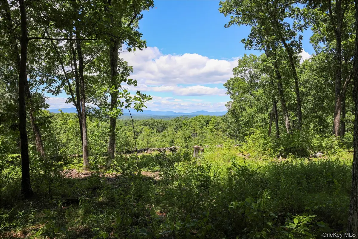 814 Cow Hough Road, New Paltz, NY 12561 - #1
