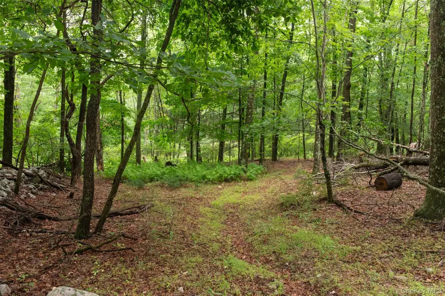 3789 State Route 52, Pine Bush, NY 12566 - #3
