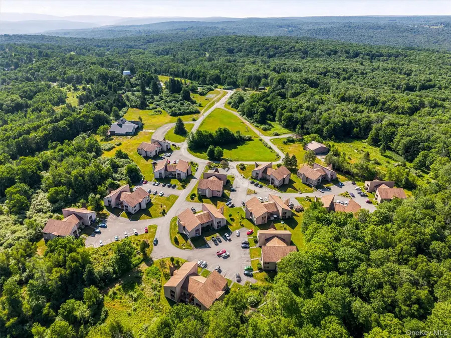 71 Davos Point #I9, Woodridge, NY 12789 - #2
