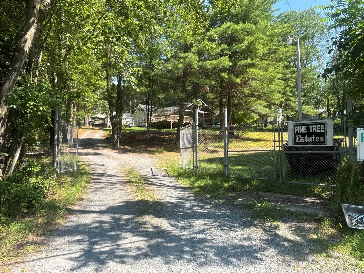 3174 State Route 55 #3, White Lake, NY 12786 - #1