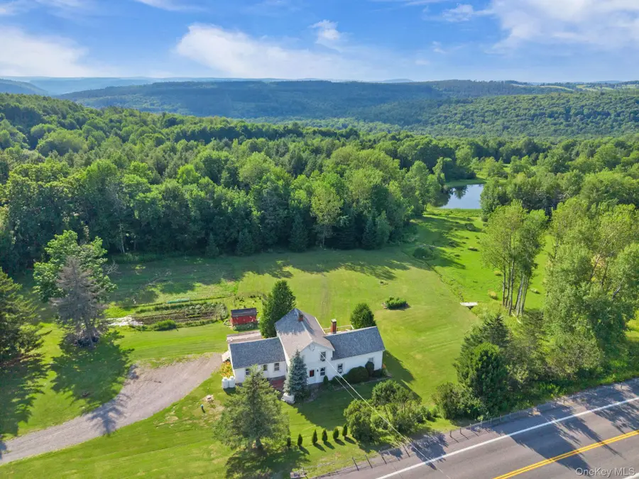 1841 State Route 10 Route, Jefferson, NY 12093 - #3