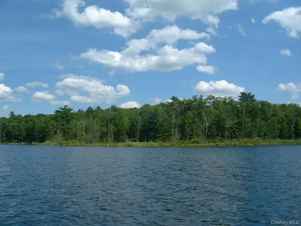Hartung Road, Highland Lake, NY 12743