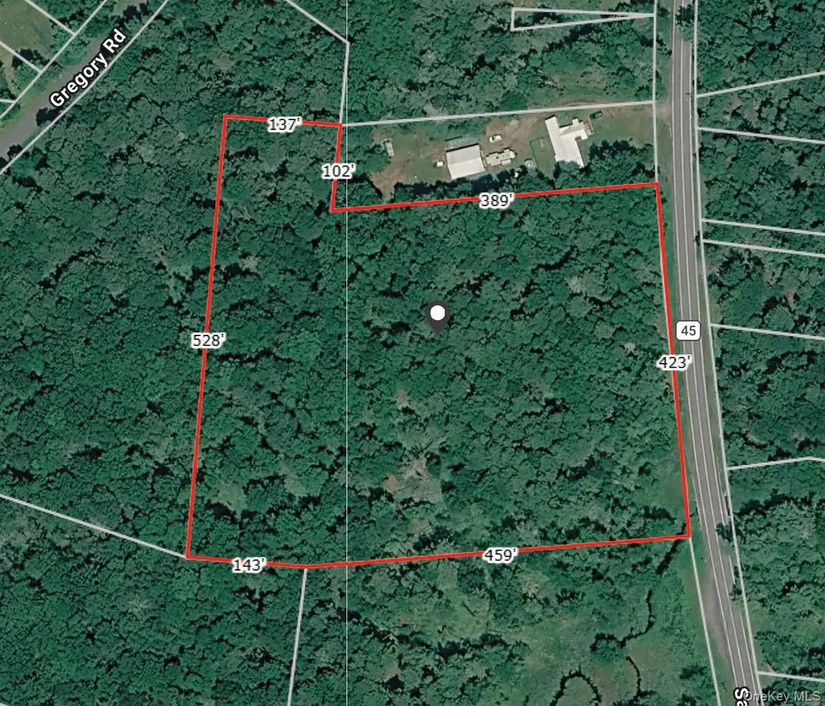 Sackett Lake, Monticello, NY 12701 - #1