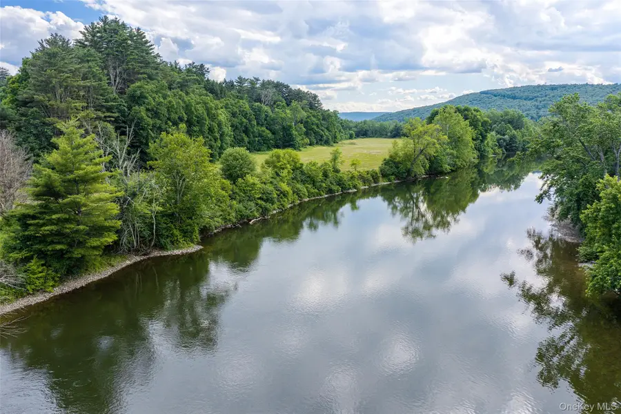 1045 Covered Bridge Road, Sidney, NY 13849 - #3