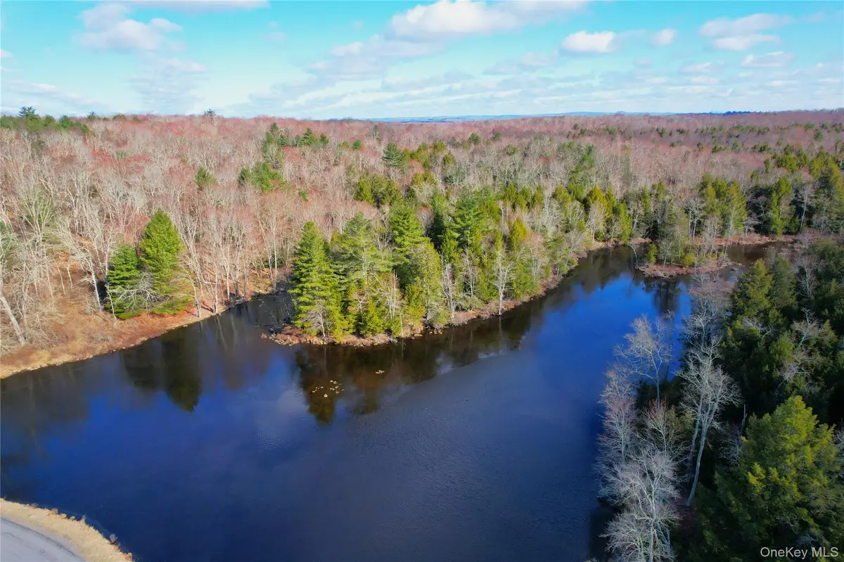 TBD Hilltop Road, Monticello, NY 12701 - #1