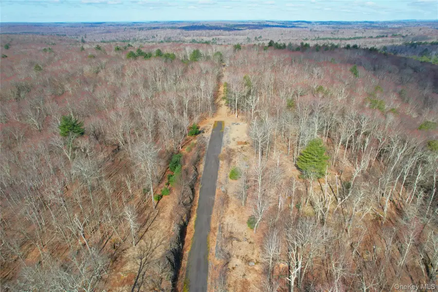 TBD Hilltop Road, Monticello, NY 12701 - #2
